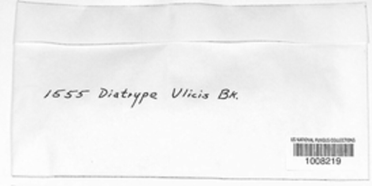 Eutypa ulicis image